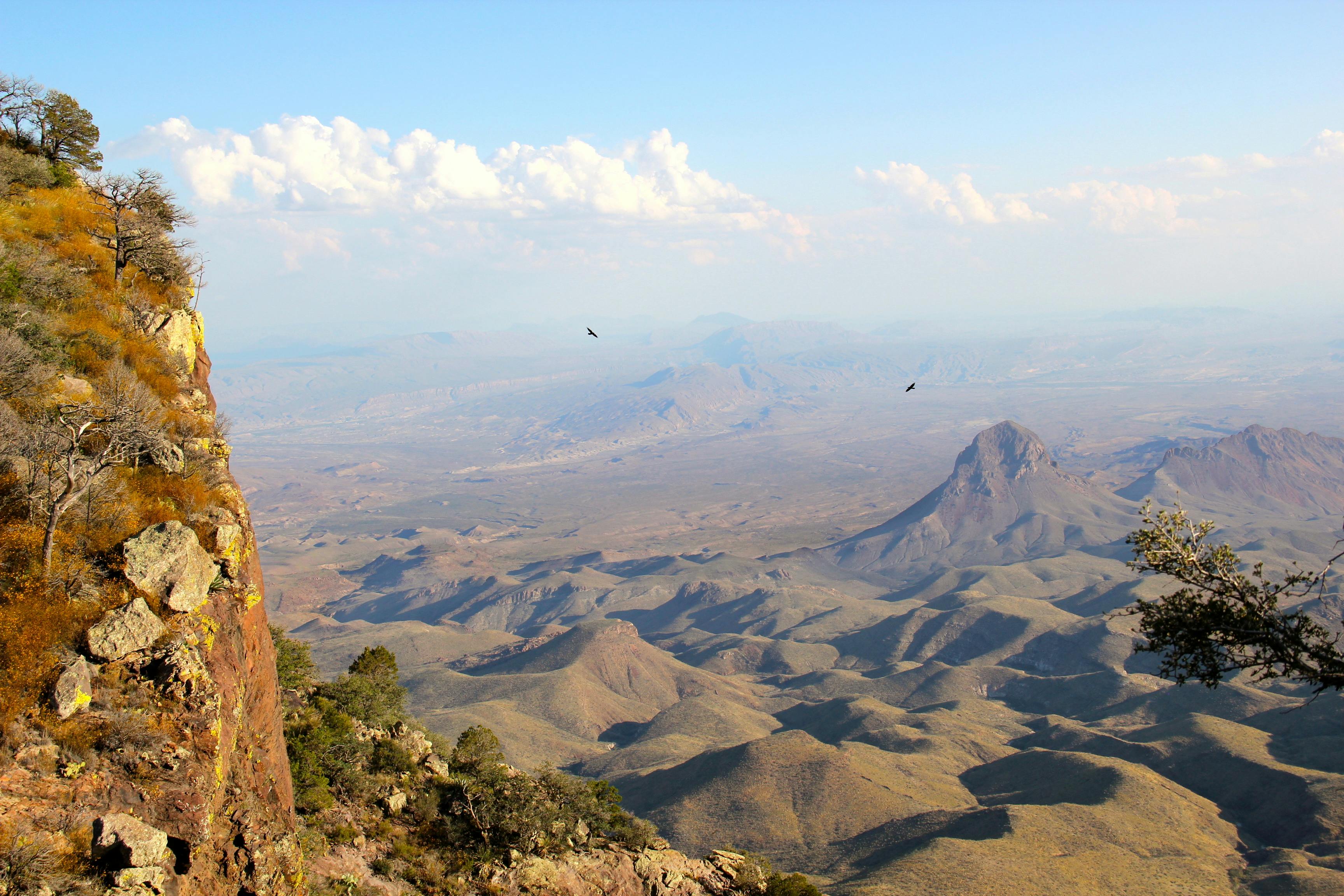 chihuahuan-desert-one-earth